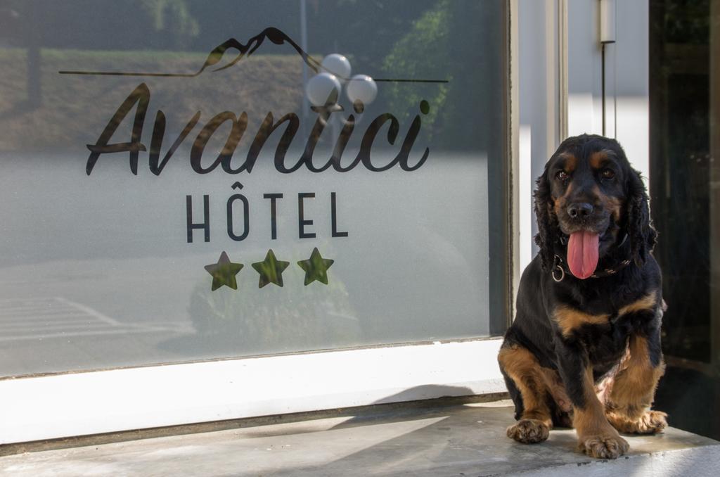 Cit'Hotel Avantici Gap Zewnętrze zdjęcie